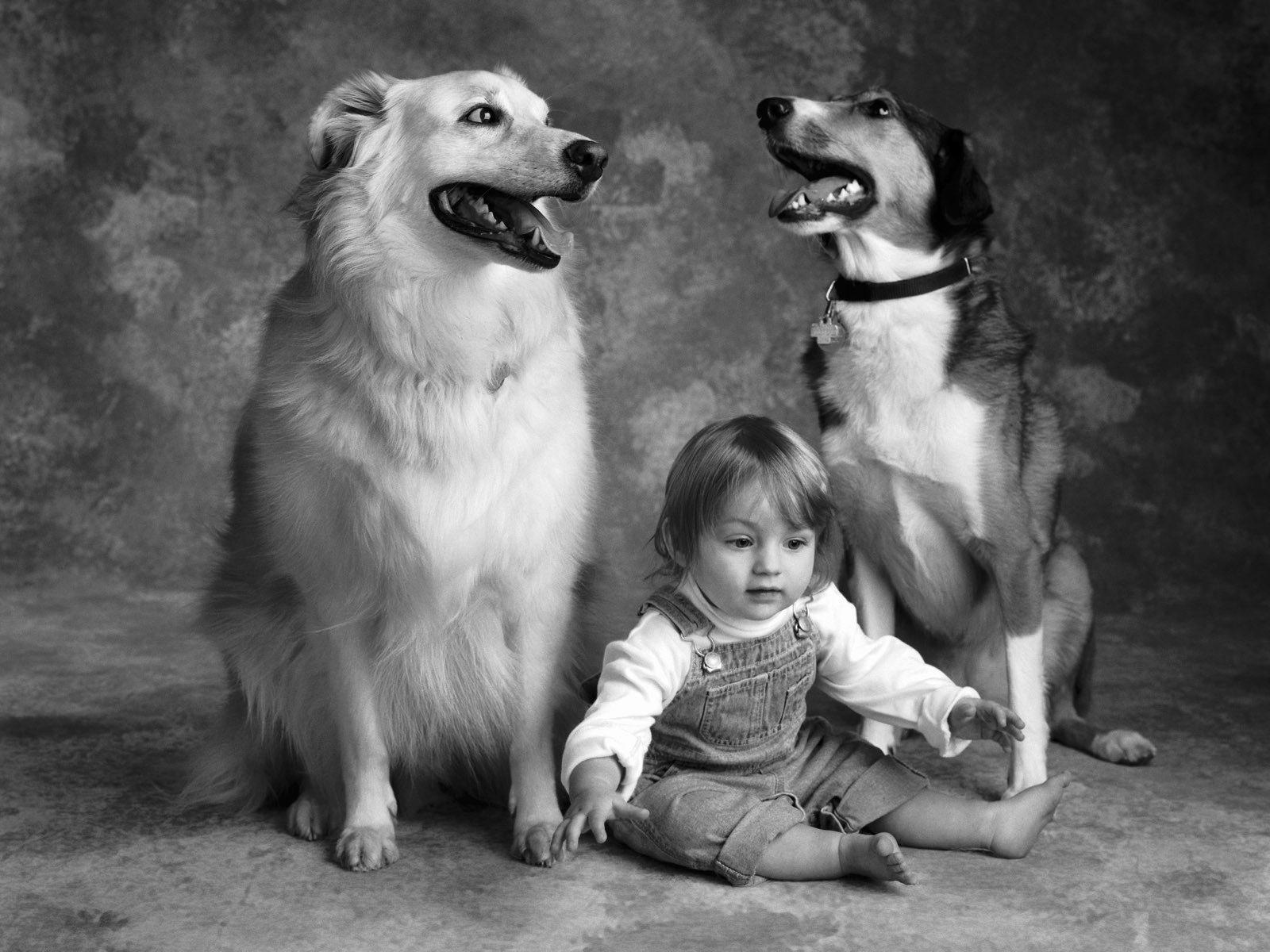 dogs, Grayscale, Friendship, Children Wallpaper