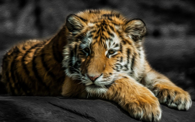 tigers, Art, Paintings HD Wallpaper Desktop Background