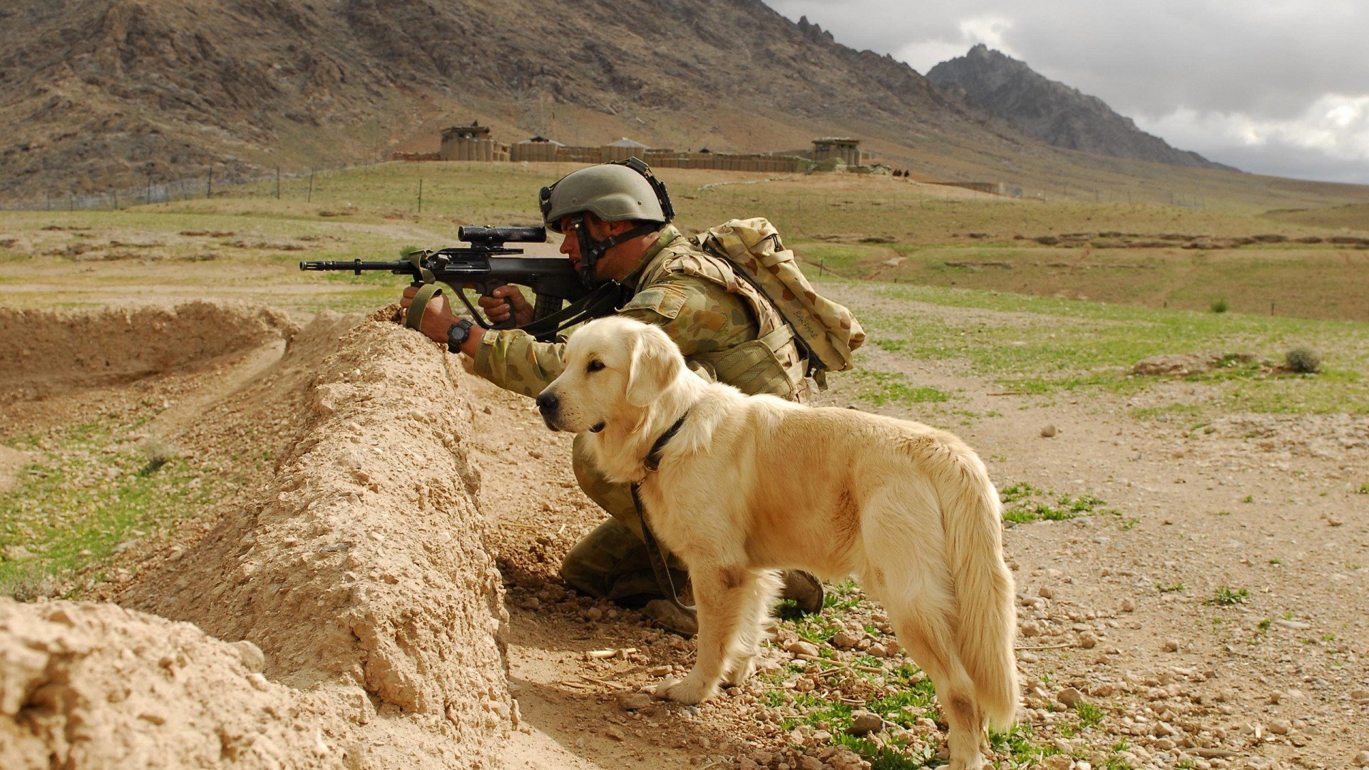 soldier, Dogs, Aug Wallpaper