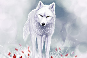 art, Fantasy, Wolf, Wolves, Winter, Snow, Face, Eyes, Pov