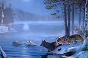 art, Paintings, Wolf, Wolves, Landscapes, Trees, Forest, Lakes, Rivers, Night, Moon, Light