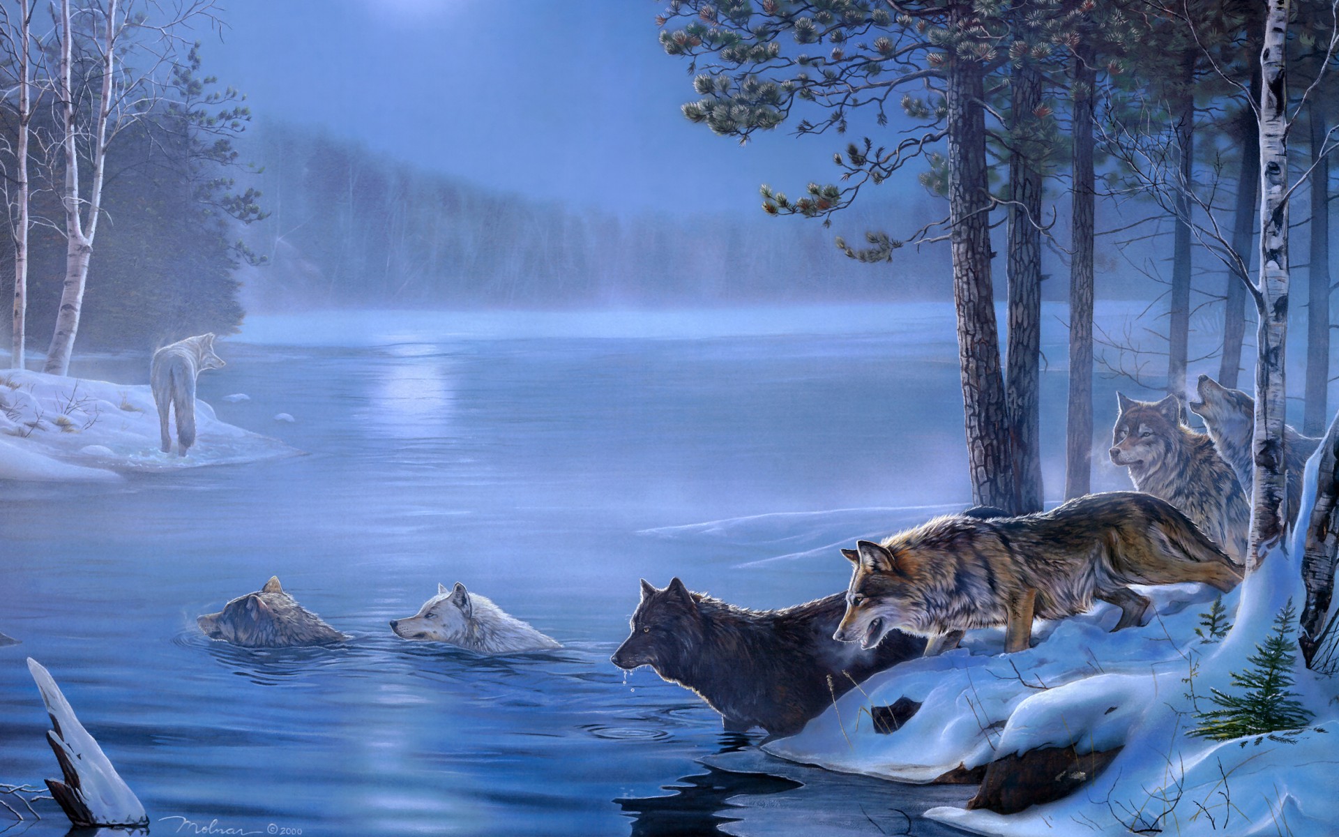 art, Paintings, Wolf, Wolves, Landscapes, Trees, Forest, Lakes, Rivers, Night, Moon, Light Wallpaper