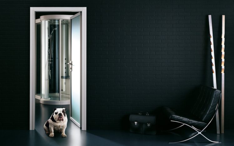 animals, Dogs, Doors HD Wallpaper Desktop Background