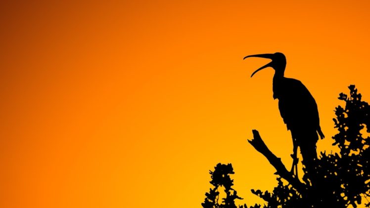 birds, Orange, Silhouettes, Skyscapes HD Wallpaper Desktop Background