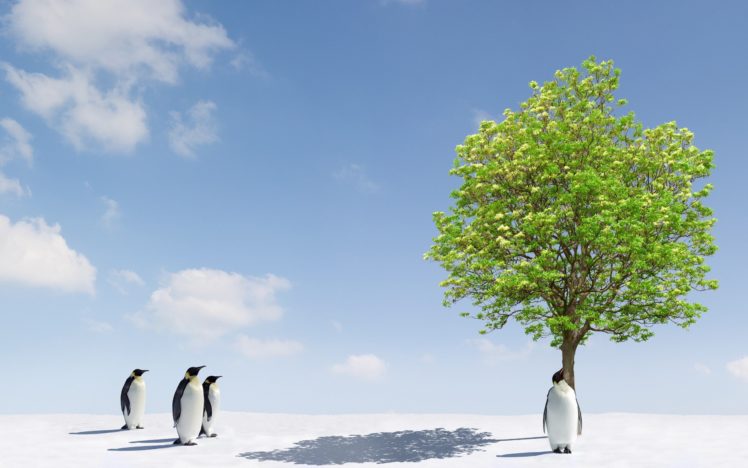 trees, Animals, Penguins HD Wallpaper Desktop Background