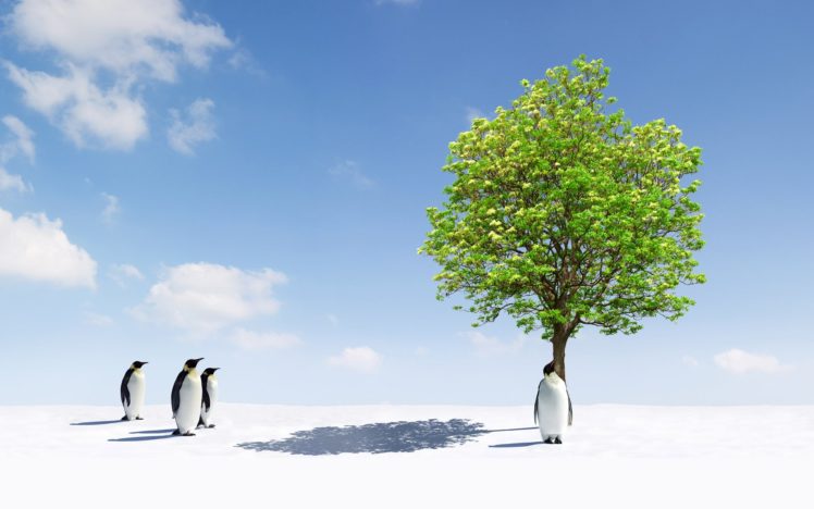 trees, Penguins HD Wallpaper Desktop Background