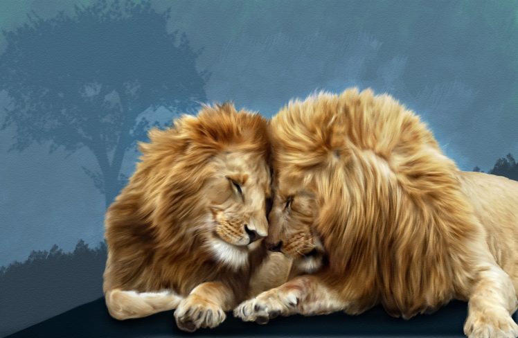 big, Cats, Lions, Two, Animals, Lion HD Wallpaper Desktop Background