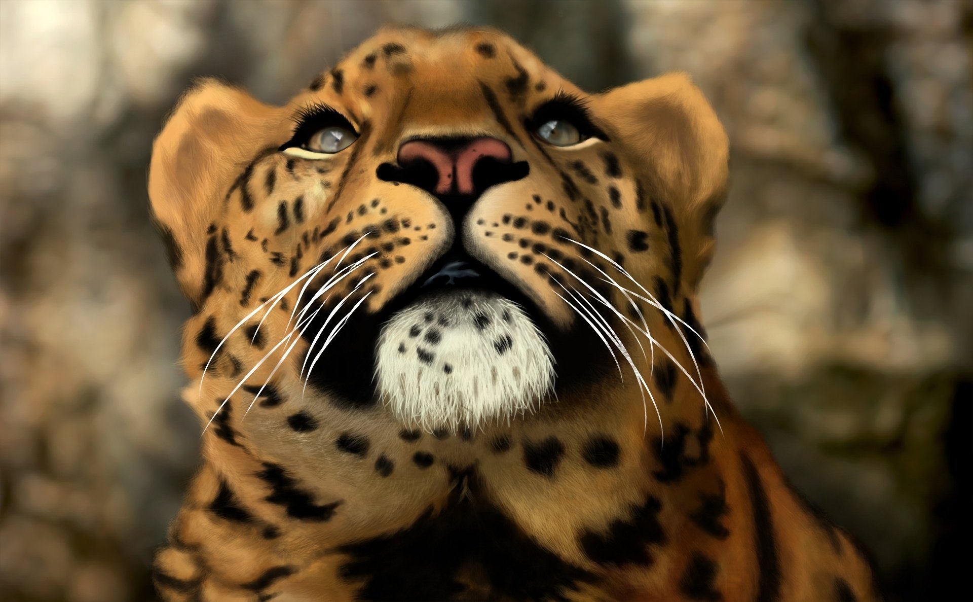 cat, Leopard, Wild, Art, Predator Wallpaper
