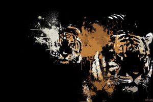 vector, Graphics, Tigers, Animals, Tiger