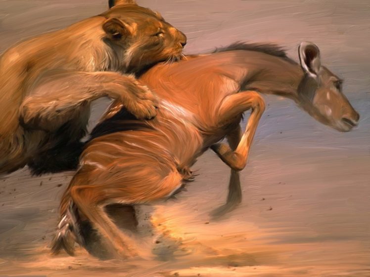 art, Painting, Lions, Hunt, Death, Kill, Africa HD Wallpaper Desktop Background
