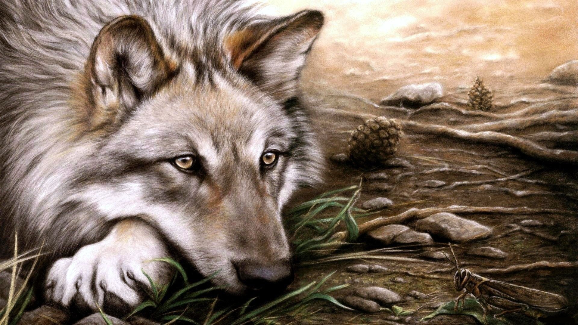art, Wolf Wallpaper