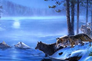 art, Wolf, Winter