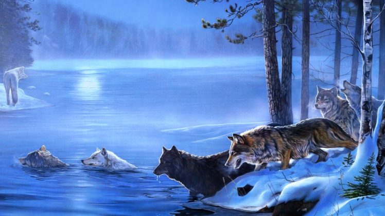 art, Wolf, Winter HD Wallpaper Desktop Background
