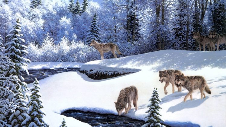 wolf, Winter HD Wallpaper Desktop Background