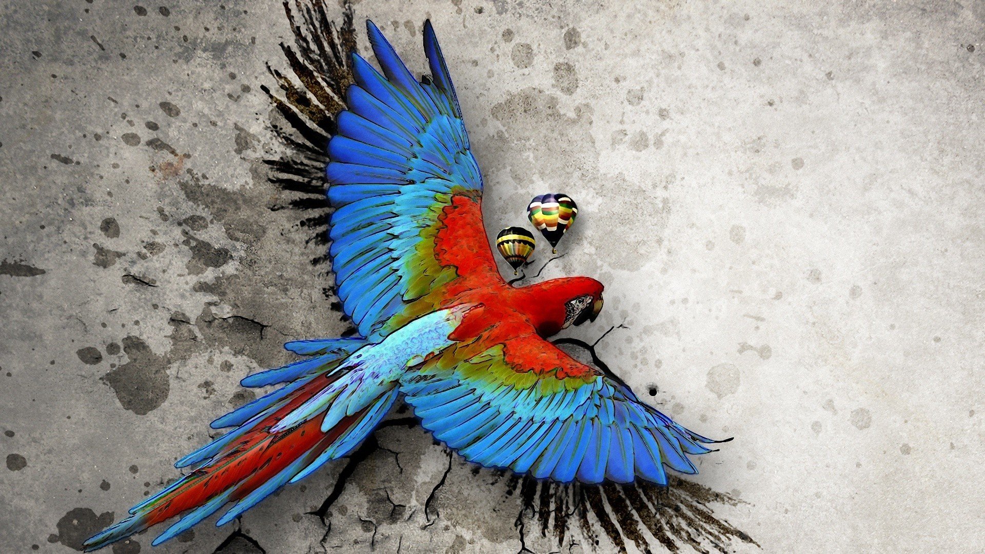 macaw, Parrot, Bird, Tropical, Psychedelic, Artwork, Art Wallpapers HD /  Desktop and Mobile Backgrounds