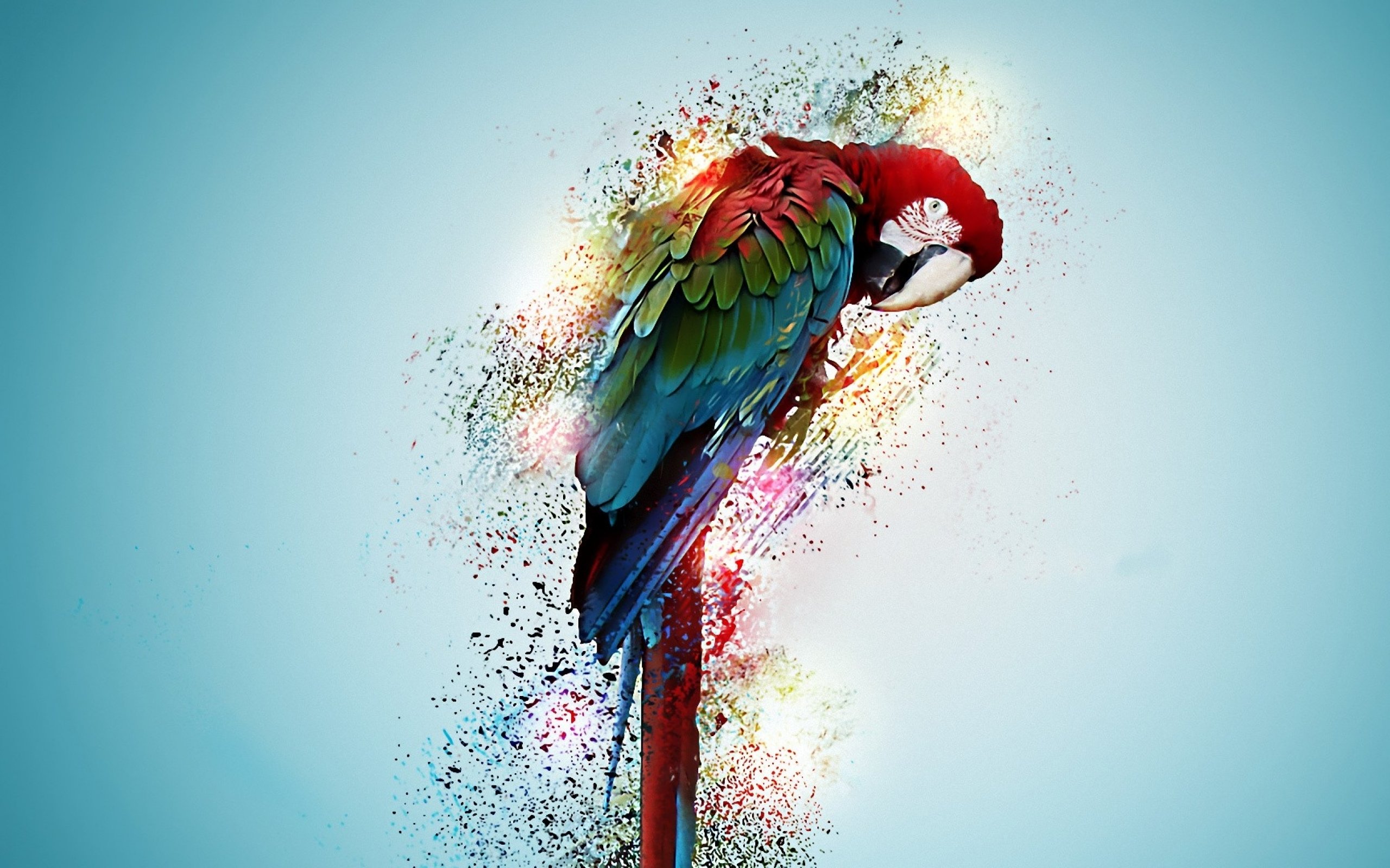 macaw, Parrot, Bird, Tropical, Psychedelic, Artwork, Art Wallpaper