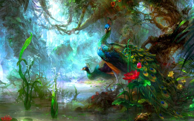 peacock, Bird, Colorful,  46 HD Wallpaper Desktop Background