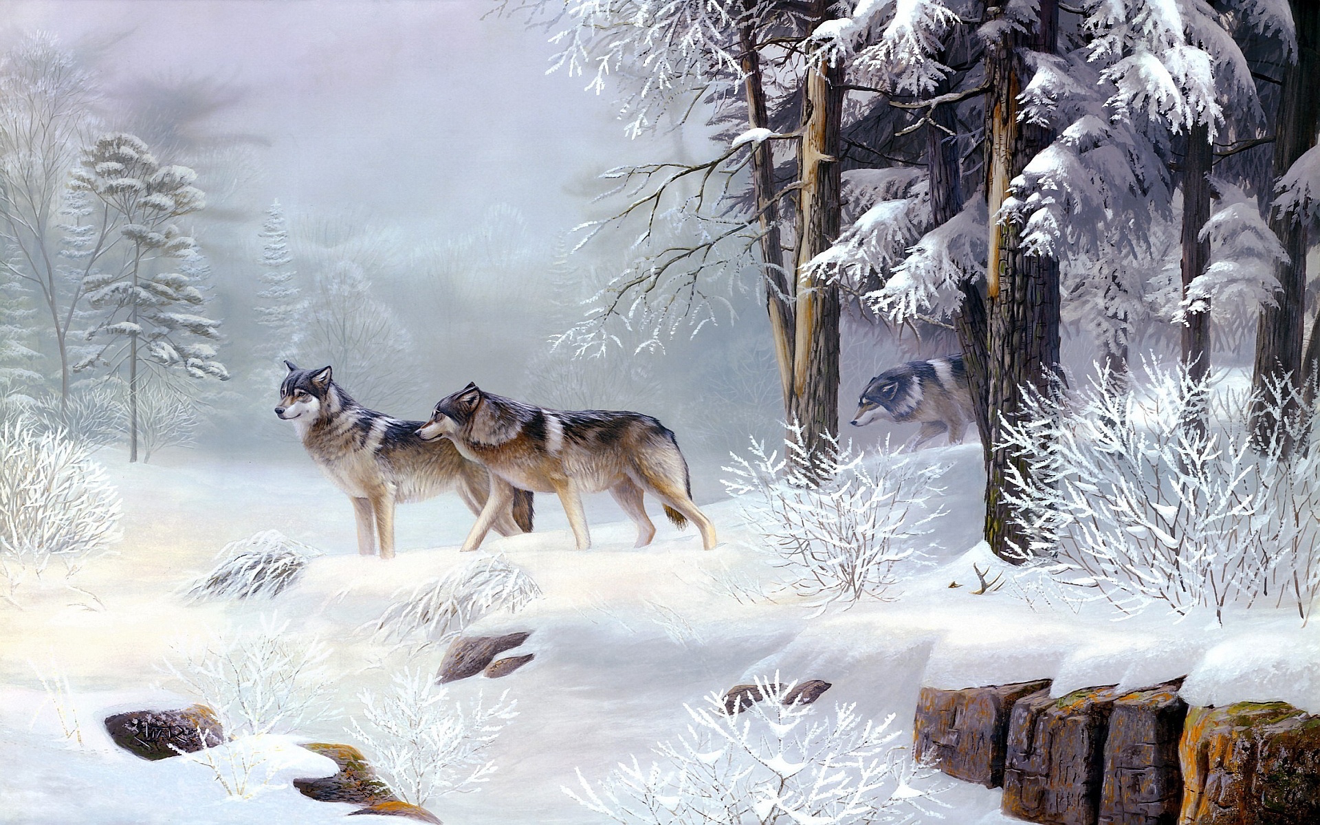 wolves, Winter Wallpaper