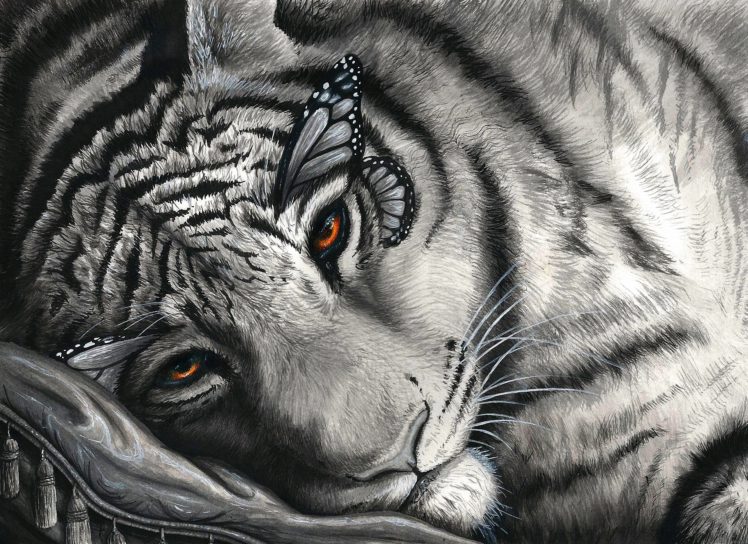 tigers, Fantasy HD Wallpaper Desktop Background