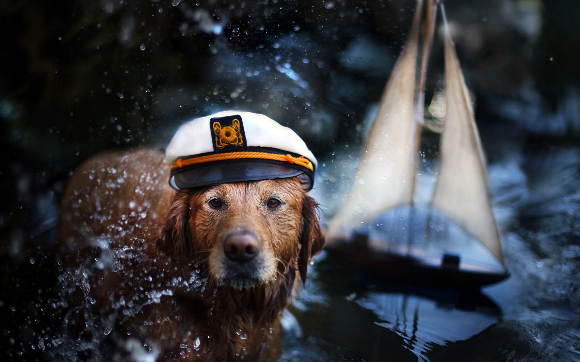 captain, Cute, Humor, Drops, Face, Eyes, Pov, Sailing, Boats, Sailboat, Water, Reflection, Lakes, Toys Wallpaper