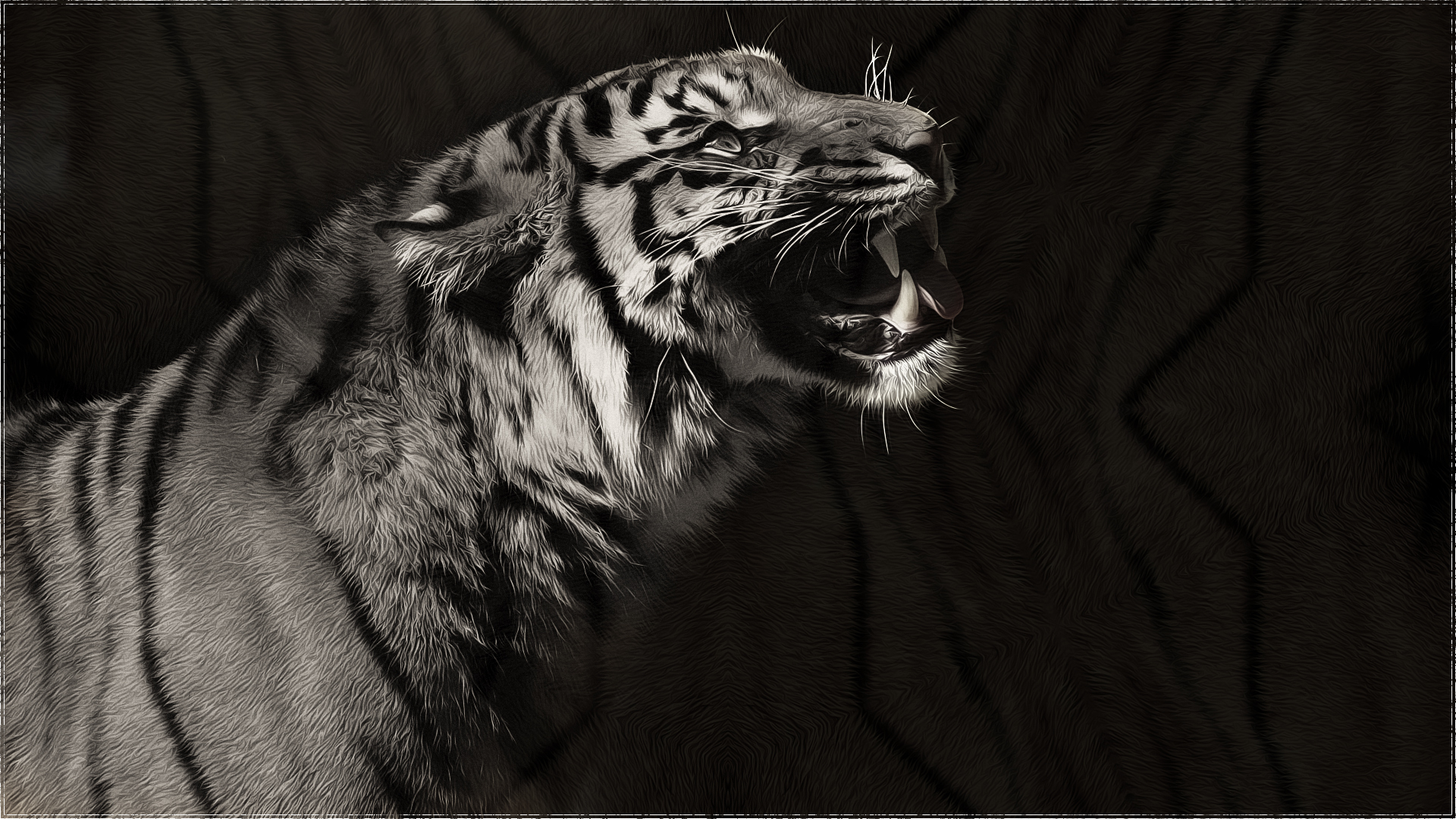 tiger, Predator, Monochrome, Black, White Wallpaper
