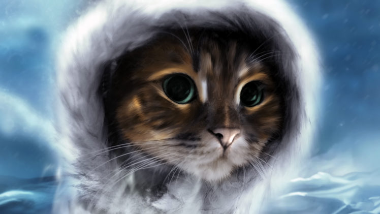 art, Animals, Cats, Felines, Sky, Clouds, Face, Hat HD Wallpaper Desktop Background