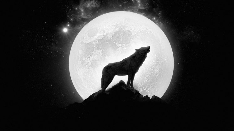 wolf, Howling,  , Full, Moon HD Wallpaper Desktop Background