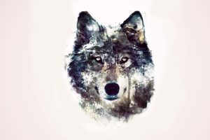 abstraction, Wolves, Background, Eyes, Wolf, Abstract