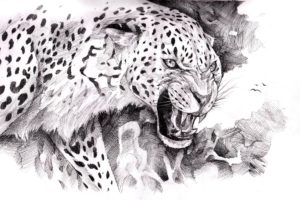jaguar, Painting, Art, Animals