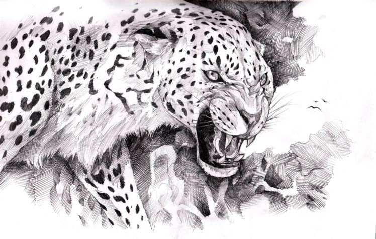 jaguar, Painting, Art, Animals HD Wallpaper Desktop Background