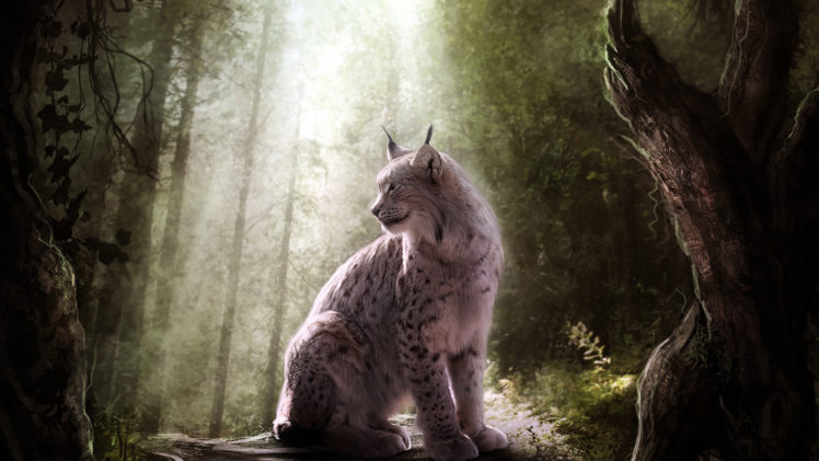 lynx, Trees, Forest HD Wallpaper Desktop Background