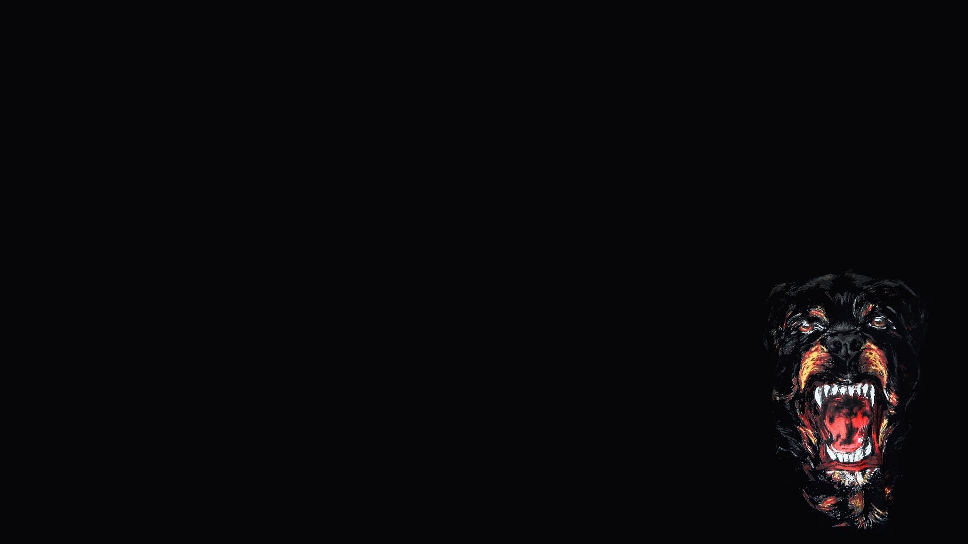 rottweiler, Dog, Dogs Wallpaper