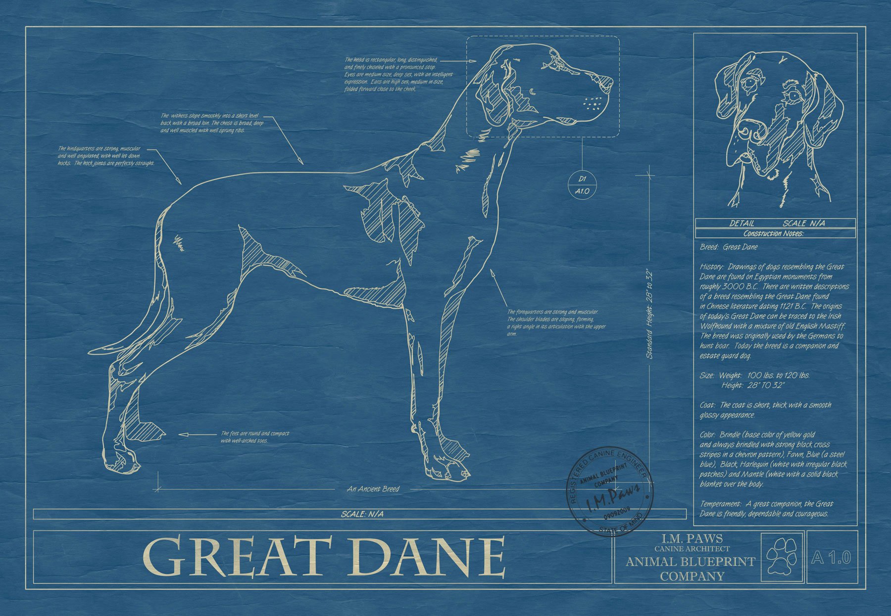 great, Dane, Dog, Dogs Wallpaper