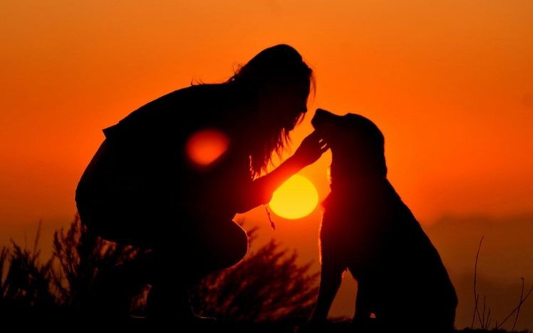 the, Sky, Dog, Silhouettes, Sunset, The, Sun, Girl Wallpapers HD / Desktop  and Mobile Backgrounds