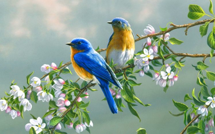 paintings, Flowers, Birds, Animals HD Wallpaper Desktop Background