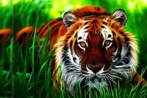tiger, Fractal, Face, Eyes, Pattern, Stripes, Grass, Art