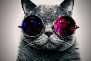 cat, Glasses, Galaxy
