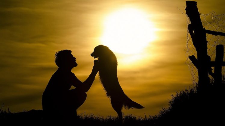 mood, Boy, Dog, Friends, Sun, Sunset, Silhouette, Animals HD Wallpaper Desktop Background