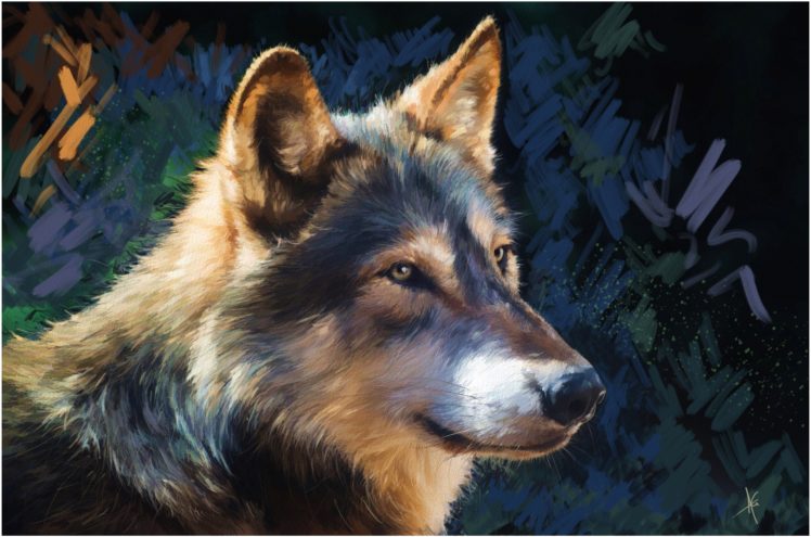 pictorial, Art, Wolves, Painting, Art, Alberto, Guillen, Glance, Head, Animals, Wolf, Artwork HD Wallpaper Desktop Background