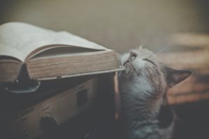 nature, Cats, Retro, Books