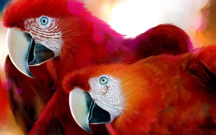 scarlet macaws animal, Birds, Red HD Wallpaper Desktop Background