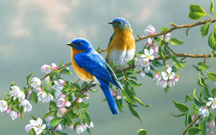 art, Painting, Birds, Flower, Animal HD Wallpaper Desktop Background