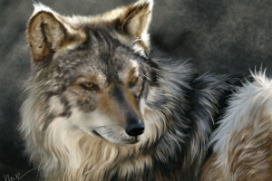 wolves, Painting, Art, Glance, Animals, Wolf