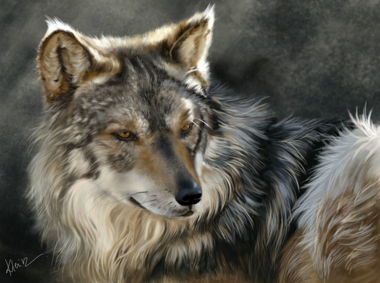 wolves, Painting, Art, Glance, Animals, Wolf HD Wallpaper Desktop Background
