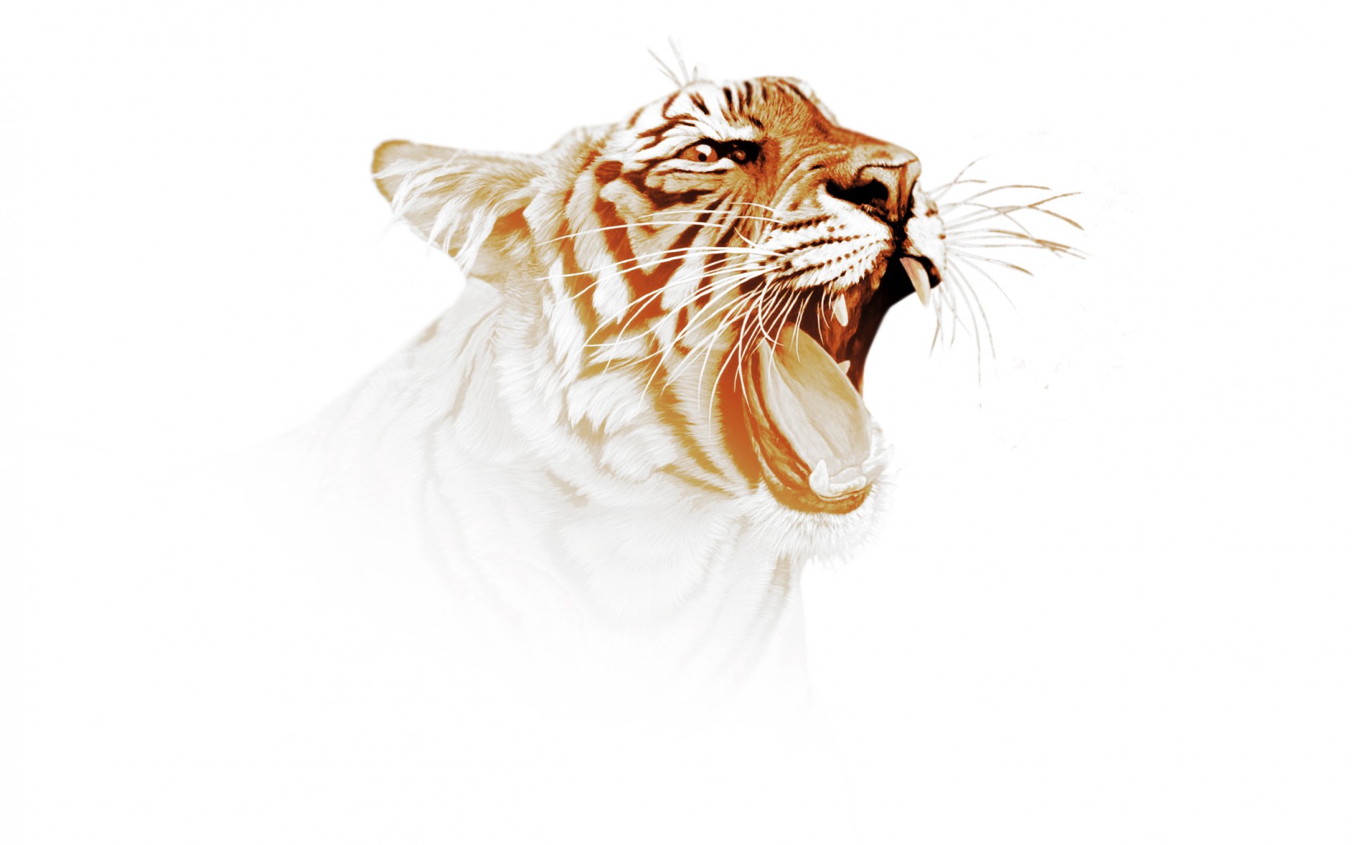 tiger, Predator, Art Wallpaper
