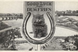 postcard, Paper, Poster, Advertising, Vintage, Retro, Antique, Cat