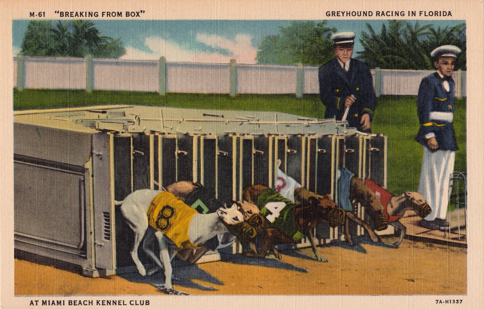 postcard, Paper, Poster, Advertising, Vintage, Retro, Antique, Dog, Dogs Wallpaper