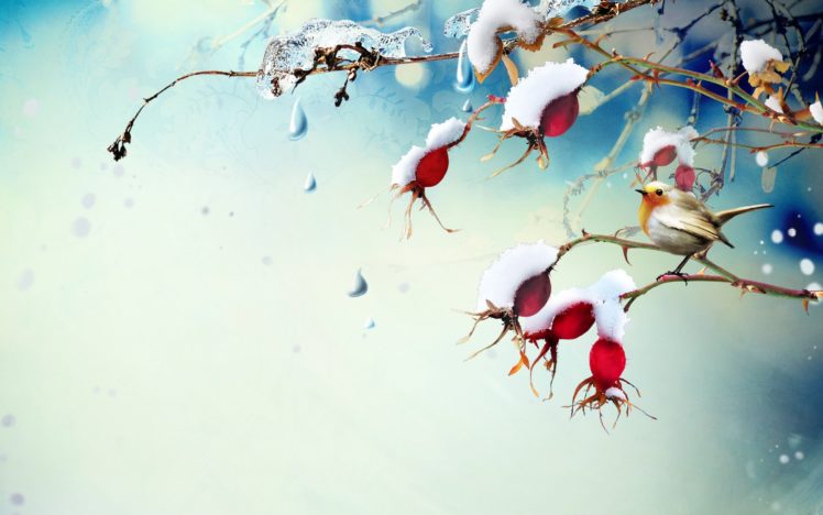 art, Painting, Cute, Bird, Snow HD Wallpaper Desktop Background