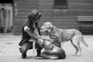 women, Animals, Dogs, Friendship