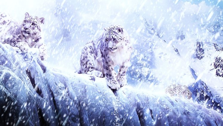 winter, Snow, Nature, Landscape, Art, Artwork, Fantasy, Leopard HD Wallpaper Desktop Background